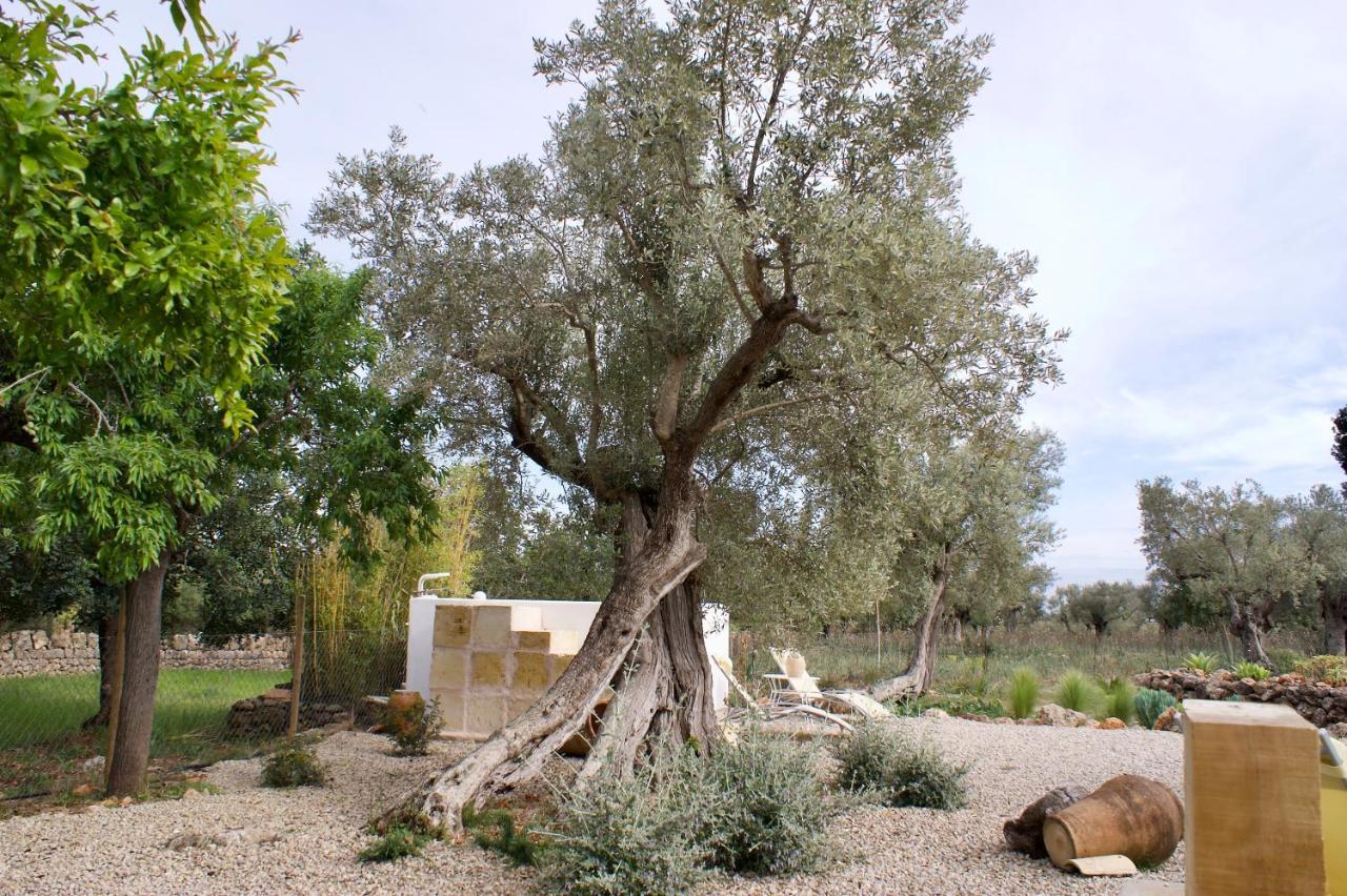 Finca Ca Na Barons