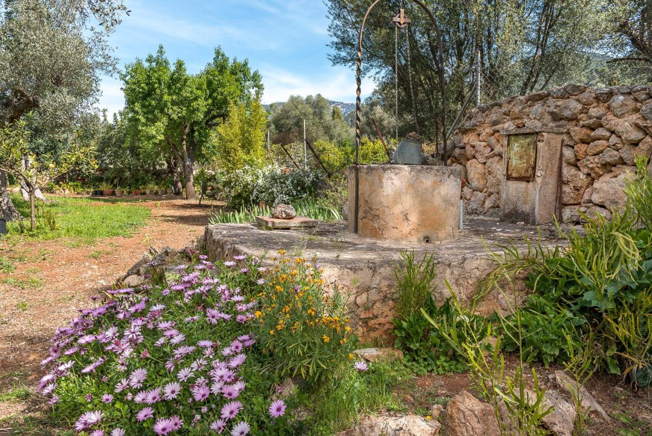 Finca Ca Na Barons Villa